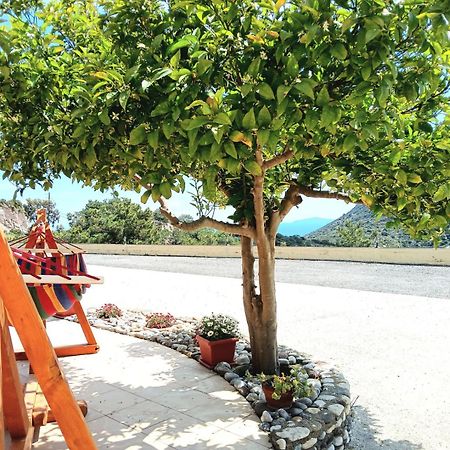 Ferienwohnung Eirini Kéfalos Exterior foto